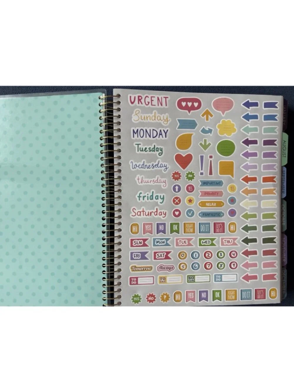Planner 17 Month 2026-27 DRAGONFLY Month Day Week Organizer Calendar 9